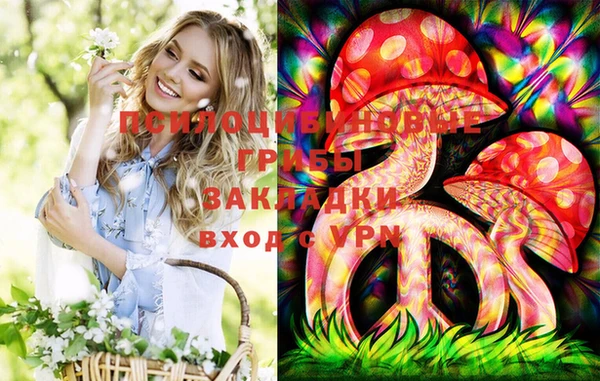 гашик Слюдянка