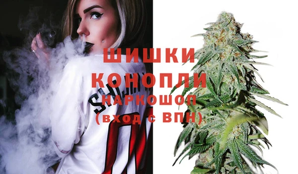 гидра Горно-Алтайск