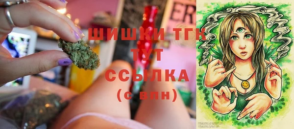 гидра Горно-Алтайск